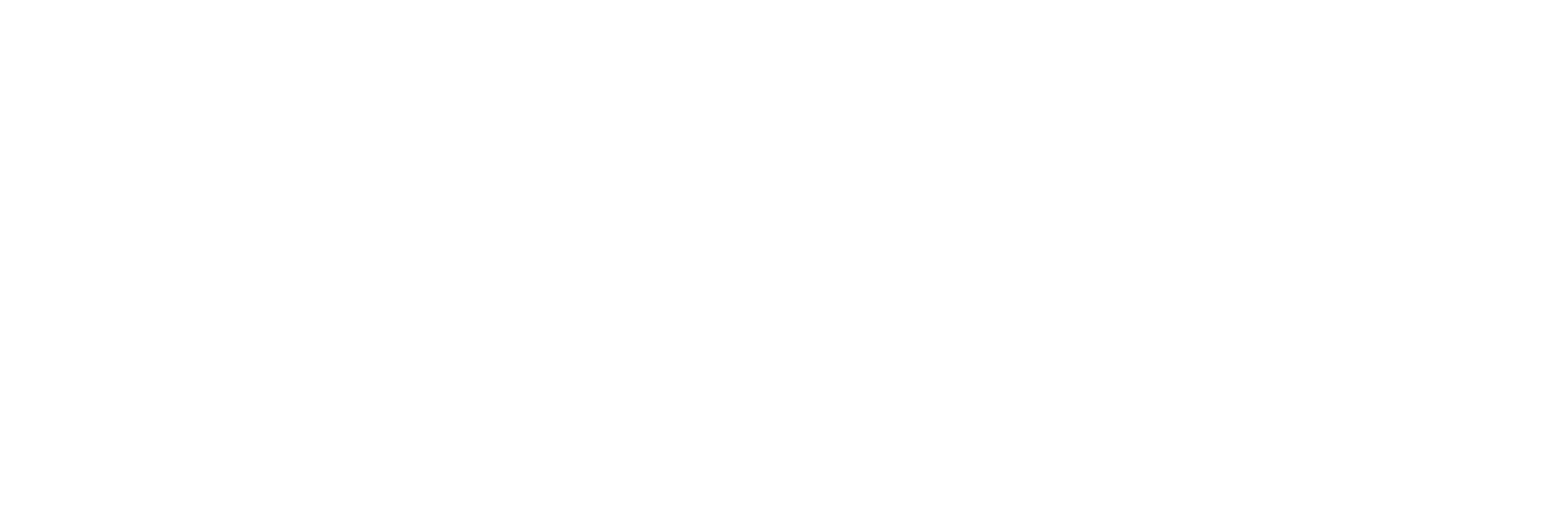 Wedding Shoppe logo